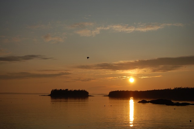 [DSC_0729 copy 2[5].jpg]